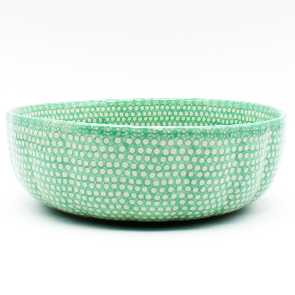 Family Shallow Bowl in Mint Elegance