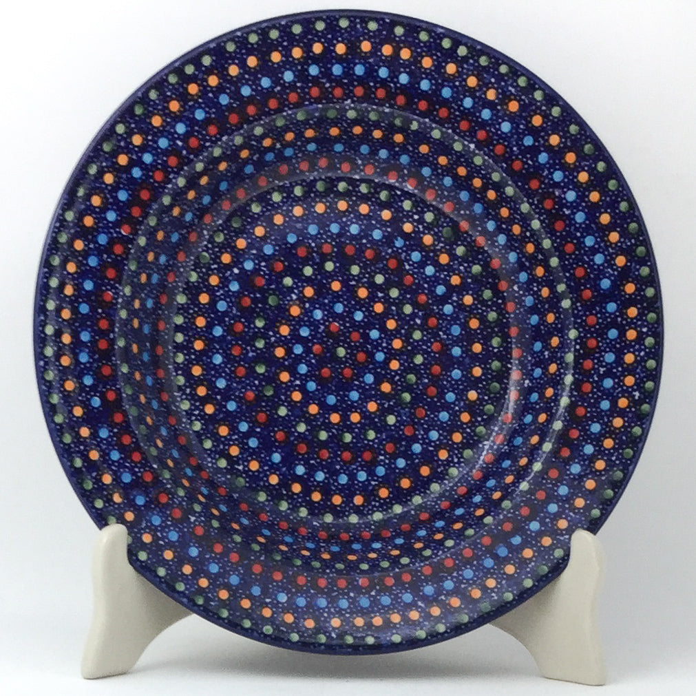 Soup Plate in Multi-Colored Dots
